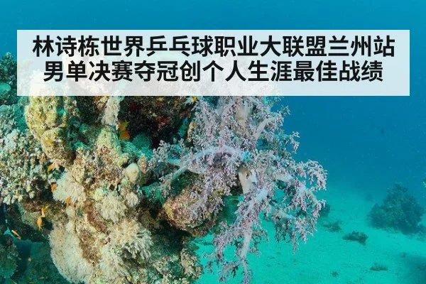 林诗栋世界乒乓球职业大联盟兰州站男单决赛夺冠创个人生涯最佳战绩